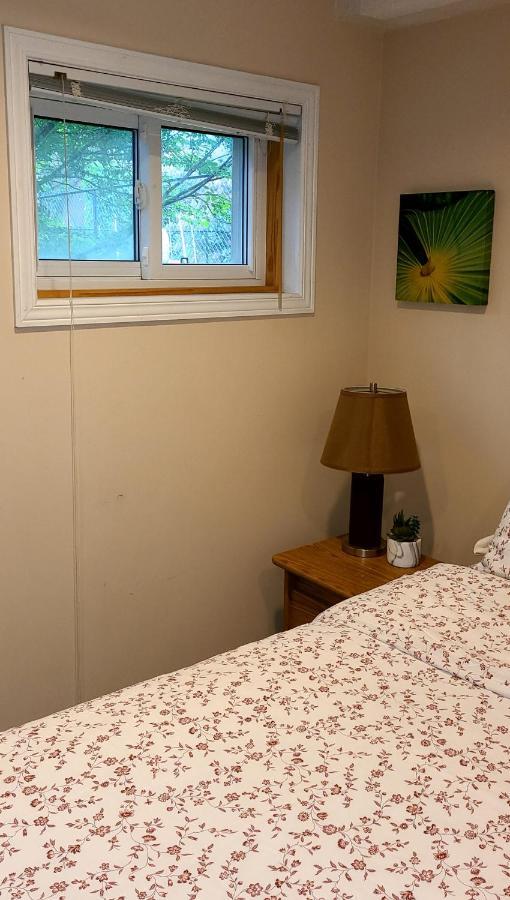 Apartment Spacious And Bright Unit With Natural Light. *